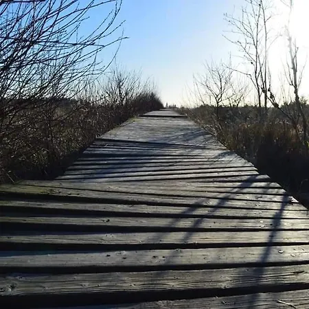 Pierco